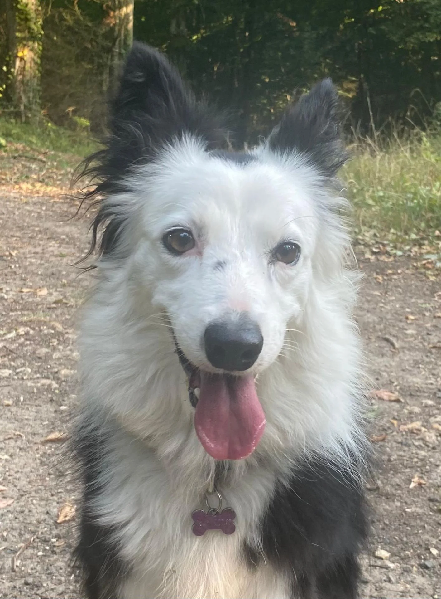 Whatsapp image 2026 01 14 at 14 35 10